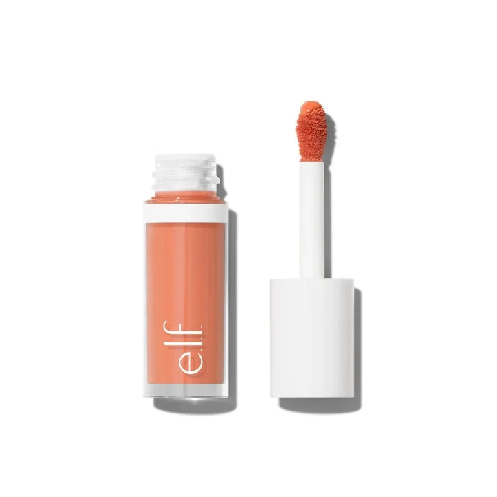 e.l.f. Fruit Flavour Lip Gloss & Power Grip Primer Hydrating Moisturising Lip Colour