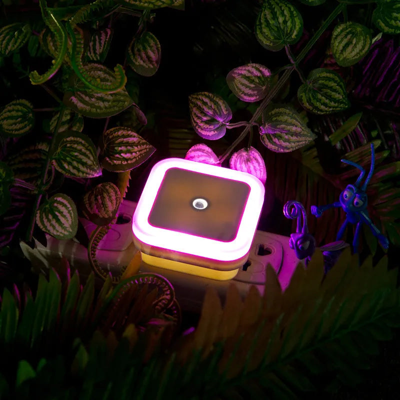 Wireless LED Night Light — Auto Light Sensor, EU & US Plug, 4 Colours