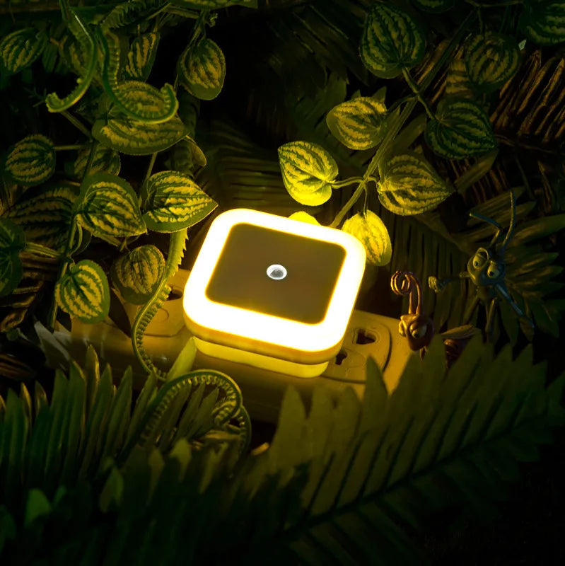 Wireless LED Night Light — Auto Light Sensor, EU & US Plug, 4 Colours