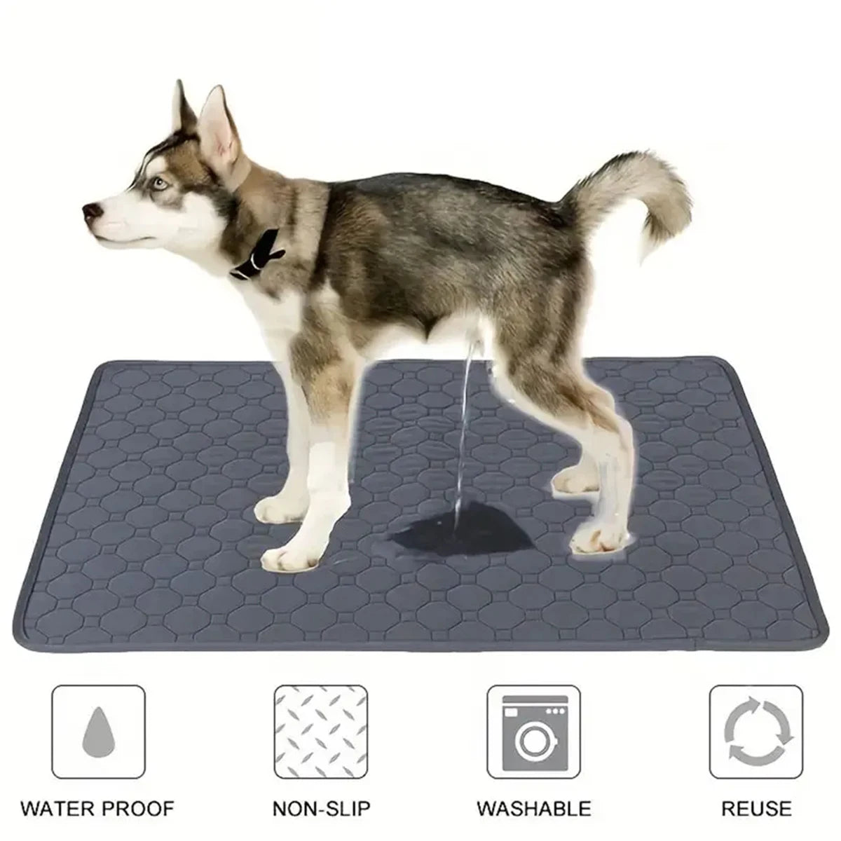Reusable Washable Dog Pee Pad – Waterproof Absorbent Pet Training Mat